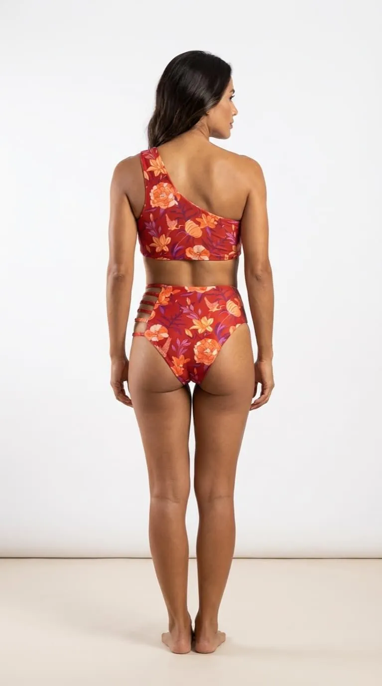 Palomino - Vista posterior